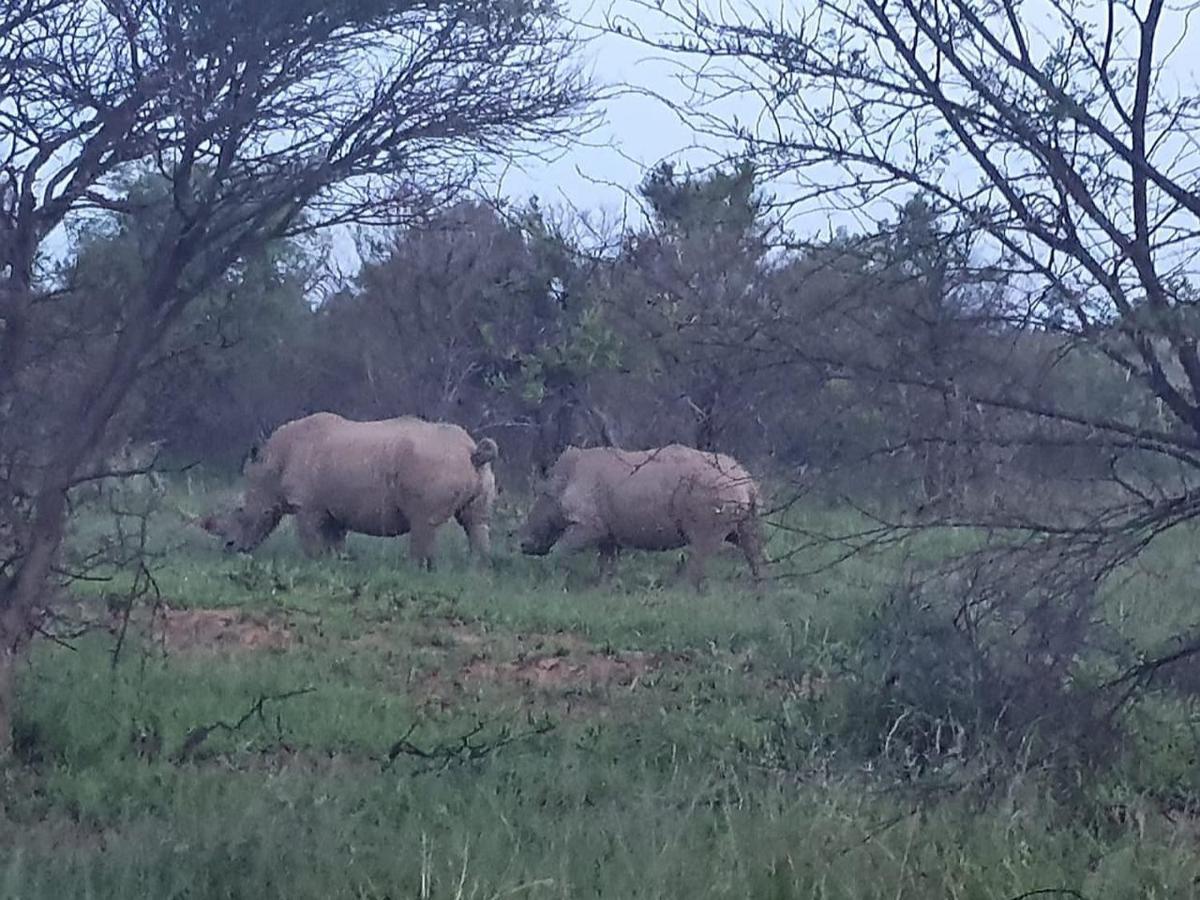 636 Itaga Safari Lodge, Mabalingwe Nature Reserve Mabula Game Reserve ภายนอก รูปภาพ